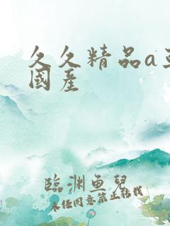 久久精品a亚洲国产