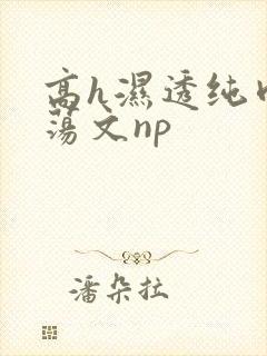 高h湿透纯肉放荡文np