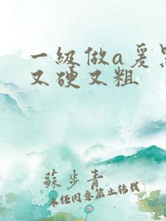 一级做a爰黑人又硬又粗