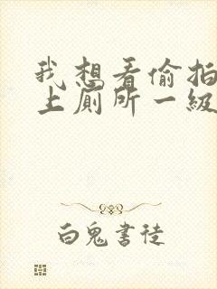 我想看偷拍美女上厕所一级片