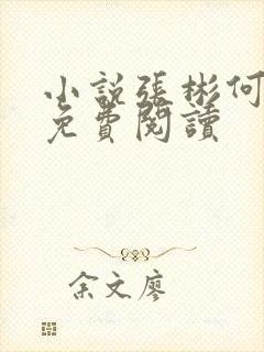 小说张彬何婉月免费阅读