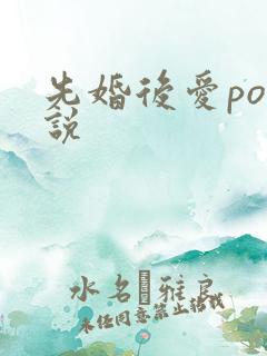 先婚后爱po小说