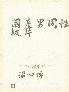 国产男同性恋一级片