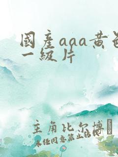 国产aaa黄色一级片