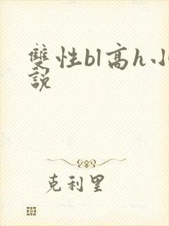 双性bl高h小说