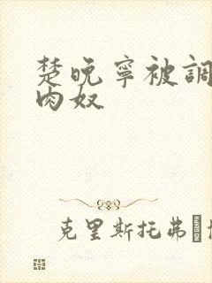 楚晚宁被调教成肉奴