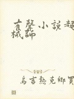 有声小说超神机械师