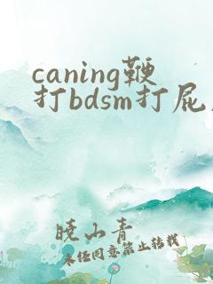 caning鞭打bdsm打屁股视频