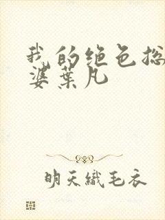 我的绝色总裁老婆叶凡