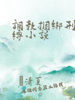 调教捆绑刑具束缚小说