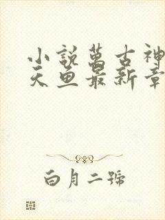 小说万古神帝飞天鱼最新章节目录