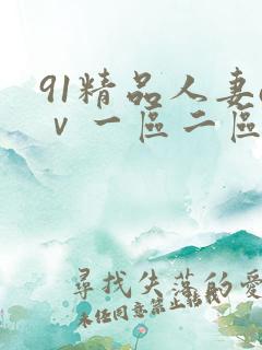 91精品人妻aⅴ一区二区