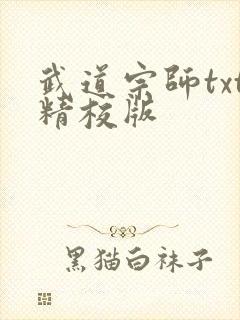武道宗师txt精校版