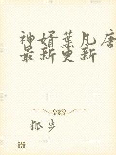 神婿叶凡唐若雪最新更新