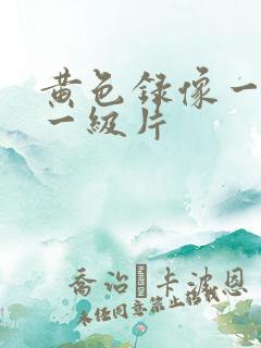 黄色录像一级片一级片