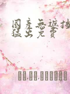 国产无遮挡猛进猛出免费