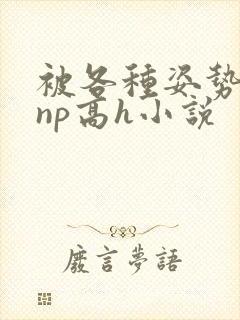 被各种姿势玩弄np高h小说