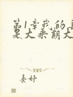 第1章我的妻子是大乘期大佬