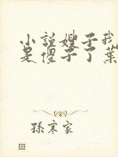 小说嫂子我真不是傻子了叶凡免费全集