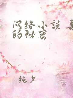 网络小说 妻子的秘密