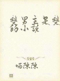 双男主是双胞胎的小说