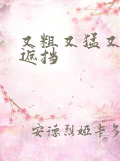 又粗又猛又爽无遮挡