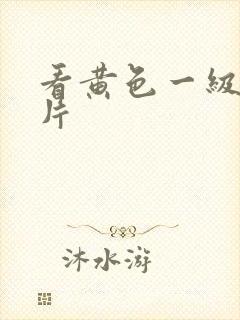 看黄色一级夫妻片