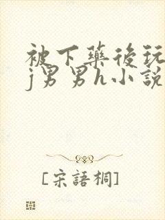 被下药后玩弄迷j男男h小说