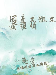 国产又粗又爽的黄视频