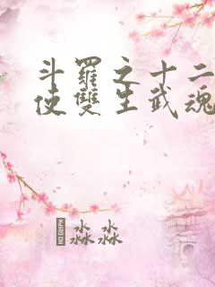 斗罗之十二翼天使双生武魂