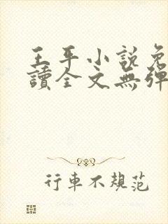 王平小说免费阅读全文无弹窗