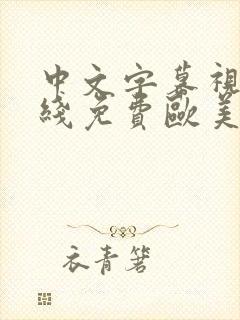 中文字幕视频在线免费欧美日韩