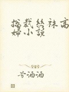 总裁丝袜高跟熟妇小说