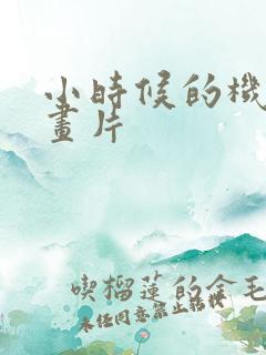 小时候的机甲动画片