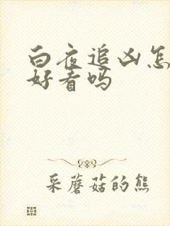 白夜追凶怎么样好看吗