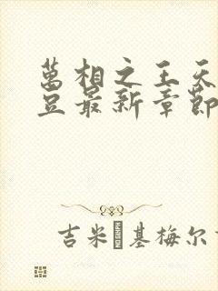 万相之王天蚕土豆最新章节免费阅读