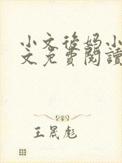 小文后妈小说全文免费阅读最新章节