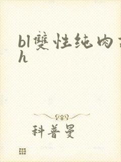 bl双性纯肉高h