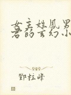 女主姓凤男主姓君的玄幻小说