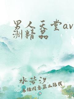 男人天堂av亚洲精品