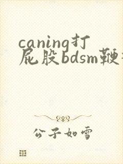 caning打屁股bdsm鞭打