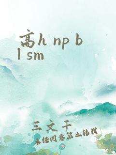 高h np bl sm