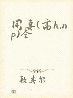 同妻(高h,np)全