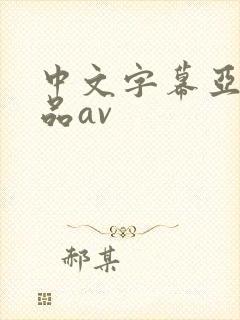 中文字幕亚洲精品av