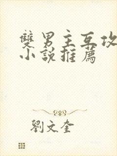 双男主互攻黄文小说推荐