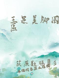 玉足美脚国产一区