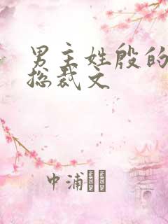 男主姓殷的小说总裁文