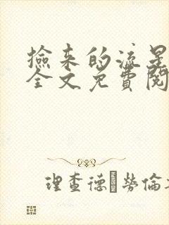 捡来的流星by全文免费阅读笔趣阁