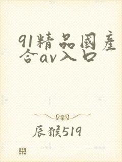 91精品国产综合av入口