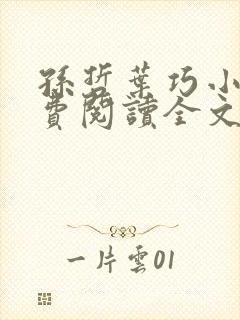 孙哲叶巧小说免费阅读全文最新章节